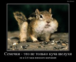 Семечки очень люблю!!!