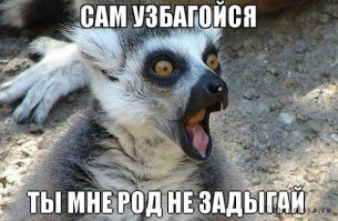 Все, что угодно, становится лучше... с глазами Стива Бушеми
