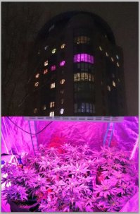 Сумасшедшие фотографии девушек, которые не должны были попасть в интернет