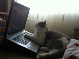 редактирует сочинение