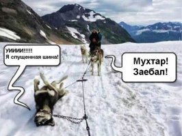 Смешные картинки из соц.сетей