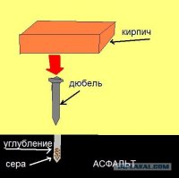 Нет, это строительные дюбели)