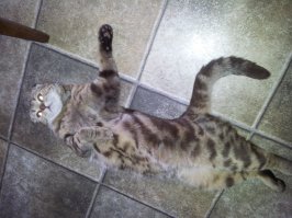 моя только так и спит