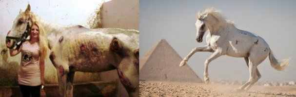 Вот Карим и такие же бедолаги