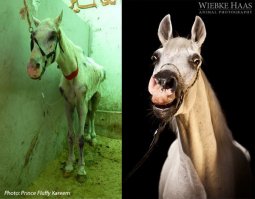 Вот Карим и такие же бедолаги