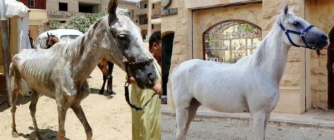 Вот Карим и такие же бедолаги