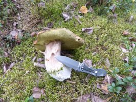 Написано красиво и легко.Очень выразительные фото,
меня только ножичек смутил в руках такой романтической барышни