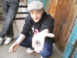 Почему в России любят семечки