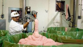 Какое же дерьмо они впаривают в своих тошниловках. И ведь лохи ведутся, не осознавая, что это нравится лишь потому, что используются химические усилители вкуса. В каждом продукте.

Где-то читал, что также используются химические компоненты, вызывающие эффект привыкания, типа слабые наркотики.

Вы жрете котлету из такого, а вам нравится и хочется еще