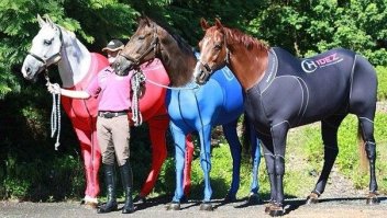 2012. Олимпийские лошадки Австралии