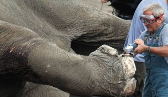 Фигня!
Вот отличное решение для спасения маникюра