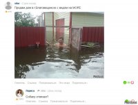 Смешные картинки из соц.сетей
