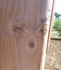 Дратути, насяльнике )))