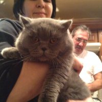 А у нас вот такое. Почти братэлло :)