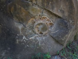 Вот фотка в тему, недавно с Лаго-Наки приехал, сфоткал)