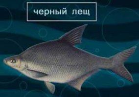 Мальчик получил знатную оплеуху