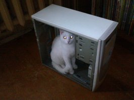 Я знаю, в компьютере каждом живёт
Живой, настоящий компьютерный кот.
Мурлычет, фырчит и когтями скребёт,
Мы это отчётливо слышим.
Не знает покоя компьютерный кот,
Пытаясь добраться все дни напролёт
До вкусной компьютерной мыши.