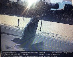 Камера оштрафовала машину на эвакуаторе: реакция ГИБДД