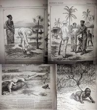 Рекомендации по охоте на крокодилов.