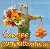 Кажется кто-то слишком много ест