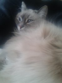 а мой - малоежка)) впрок не хомячит, знает, захочет кушать,  попросит - дадут кушать.