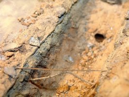 Разрабатывали траншею механизированным способом и не порвали кабель? Да ладно! :)