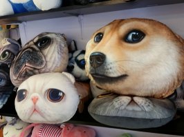 Подушки для тех, кто любит природу, мечты и сказки