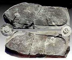 Кто раздавил трилобита? Призновайтесь