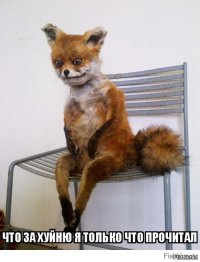 15 глубоких фильмов со скрытым смыслом