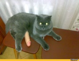 Кажется кто-то слишком много ест