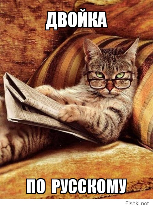 "Русскому друг “договорится” с полицейским, подружится с ним, обменяется телефонами и пообщается помочь, если у него будут проблемы."