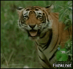 Задачка для 6-ти летних детей