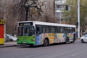 Кто они, соседи - автомобилисты. Что мы о них знаем?