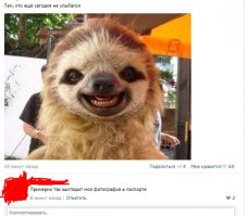 Смешные картинки из соц.сетей