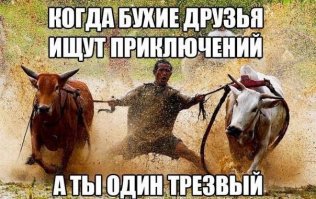 Скажи мне кто твои друг... или необыкновенная дружба