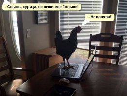 Фотоподборка за 19.08.2016