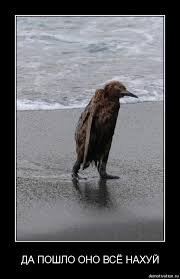 Домовый сыч