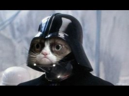 К первому фото - Дарт Котэ )))