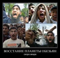 пизнец как эти хачи заэпали мля