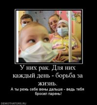 Измученная собака много часов боролась за свою жизнь и была спасена