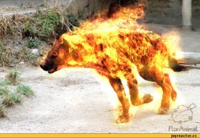 Ближе, чем ты думаешь? А где?