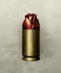Новый боеприпас с экспансивной пулей? )