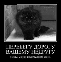 Убойная подборка демотиваторов