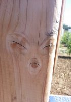 Я всегда подозревал, что бывшая где-то подрабатывала))