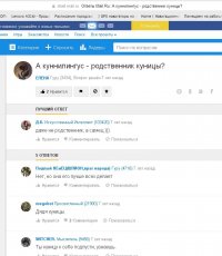 И такое ищут