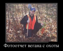 5 картинок перед выходными