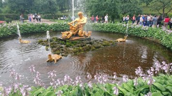 Петергоф (дворцово-парковый ансамбль)