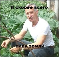 Неполитические комментарии и картинки из соц. сетей 19/08/2016