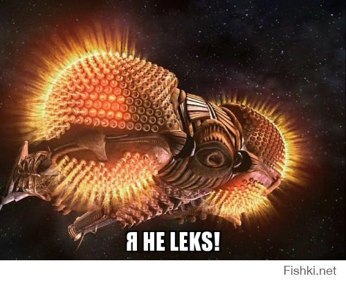 Да, Leks, ты не Lexx!