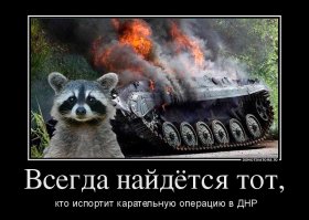 Еноты Донбасса